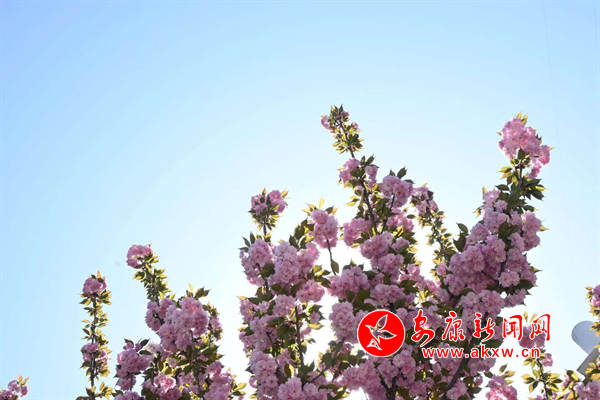 Ѧ������ӣ��ѩ