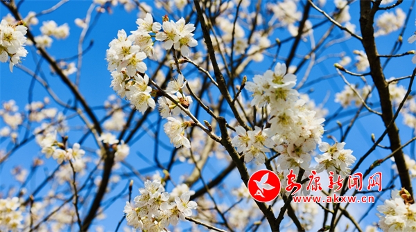 ǧĶӣ��ӭ����