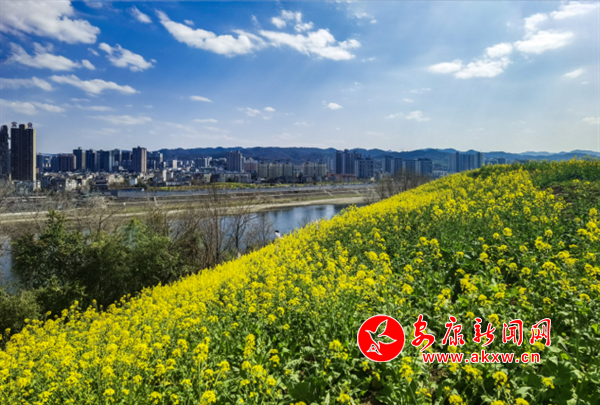 �Ͳ˻���ӳ����