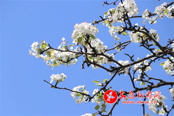 �Һ���״�����