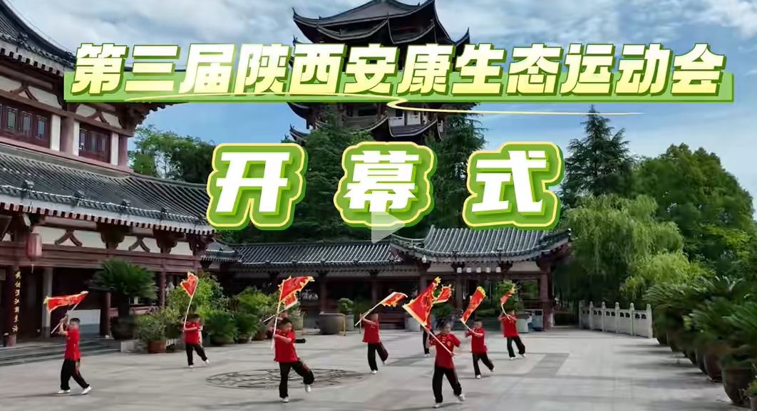 ȫ���� �˶�����