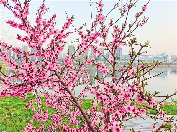 һ����ˮһ��ʫ