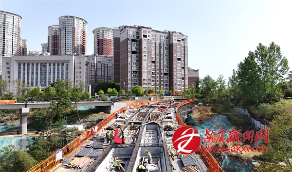 ���﹵������Ŀʩ��æ