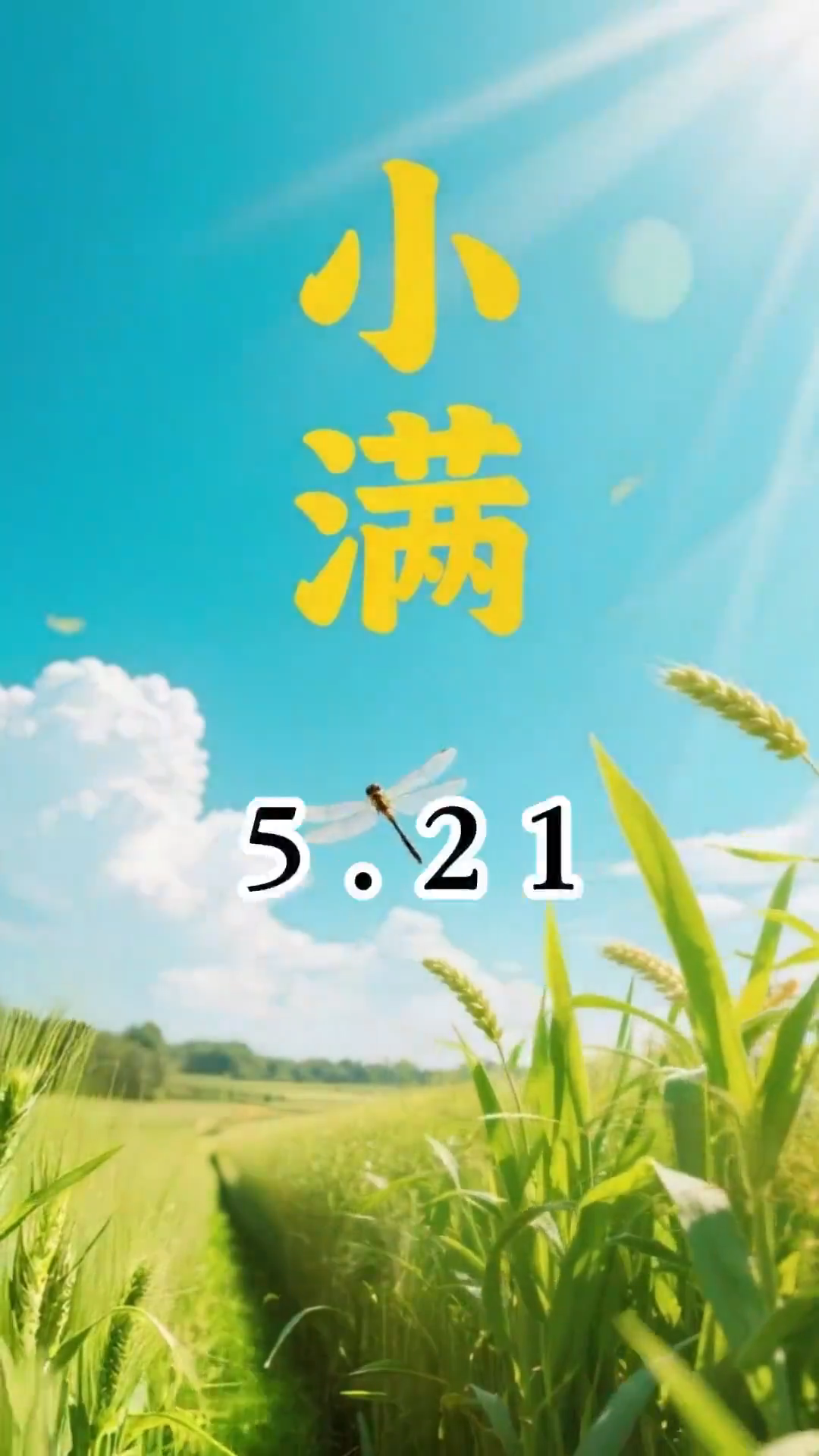 С��δ�����������