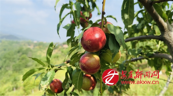 ����ʱ�� �Ϲ�Ʈ��