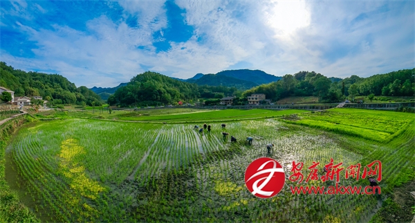 ��������桰���ָ�ơ�