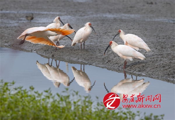 ��ͷ��ġ���̬���顱���������