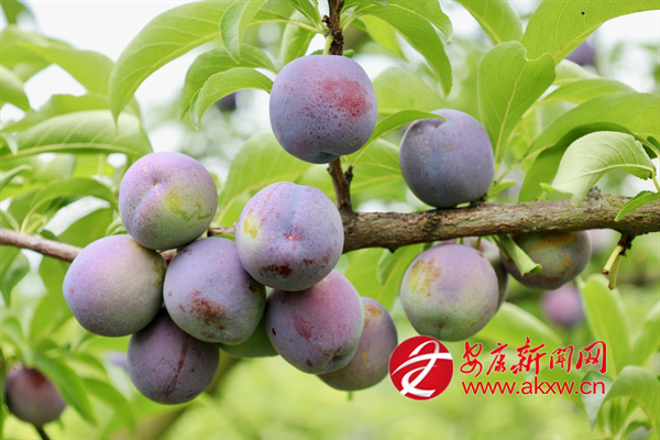 ��Ķ����ӭ�����ռ�