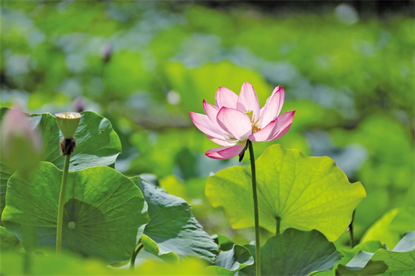 ��������