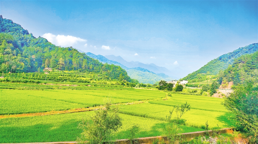 ����������续