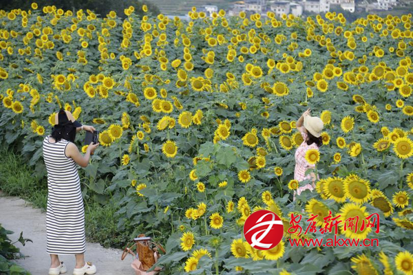 �Ϳ�����������