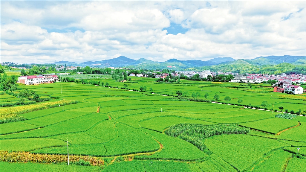 ��԰����