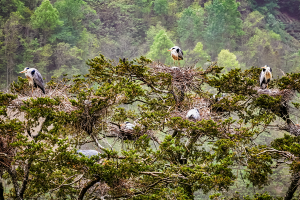 ���ء����ҡ�