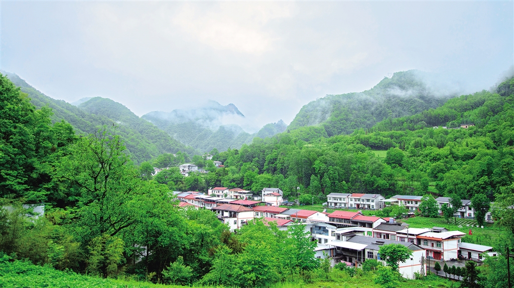 ��������»���