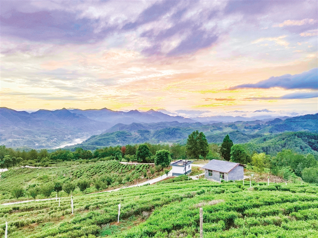 ��Ķ��԰������