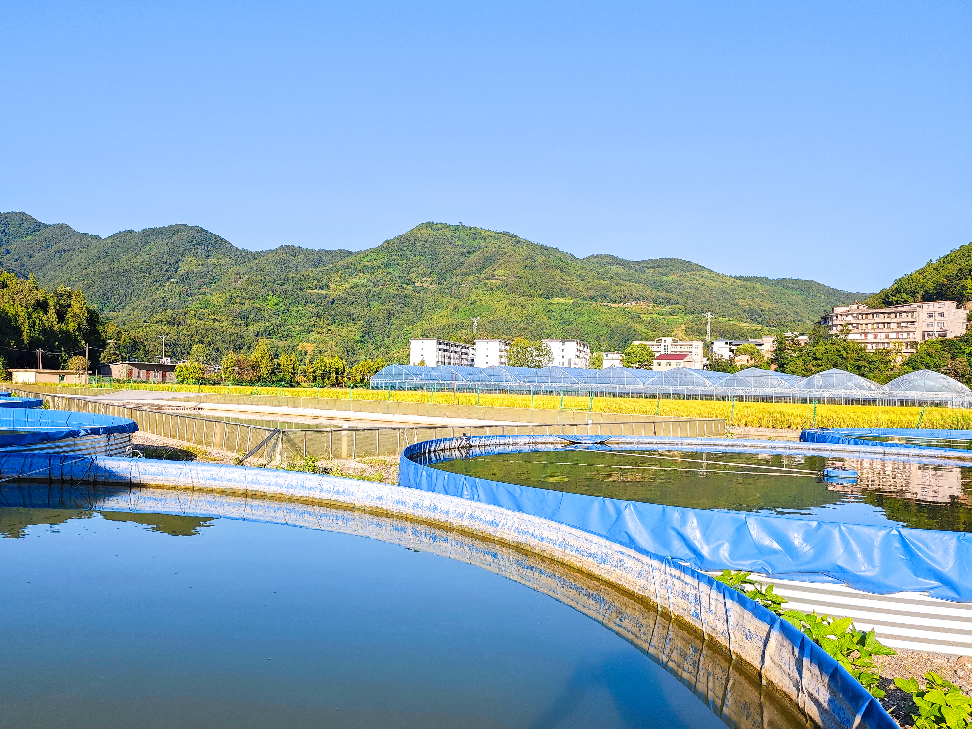 �㵾���� ����¾�