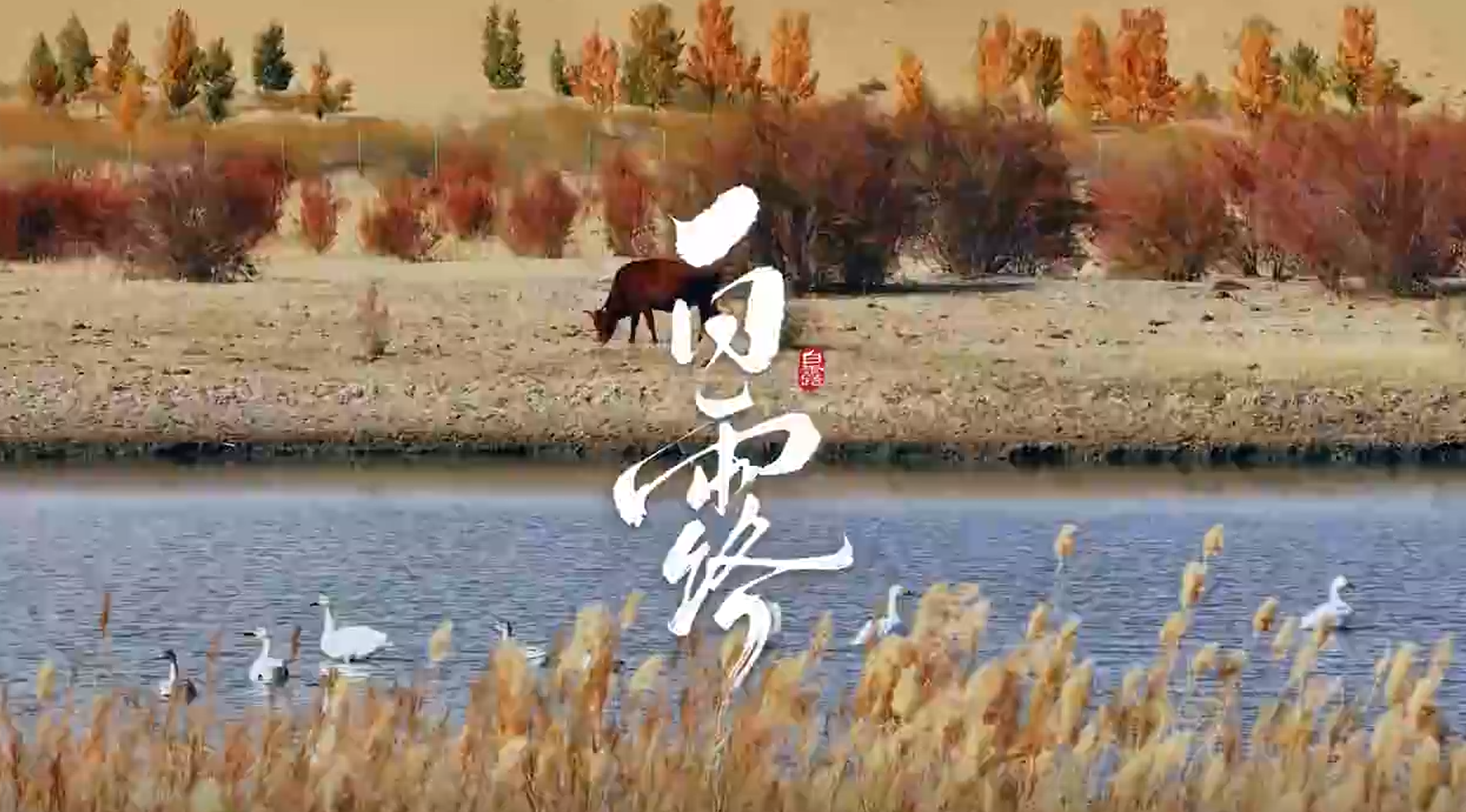 �Ļ��й���ح��¶ʱ�ڣ��������ˣ���������