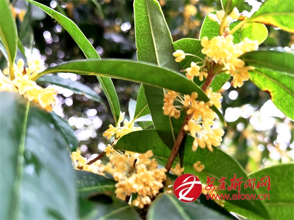 ���ǹ��� ������Ũʱ