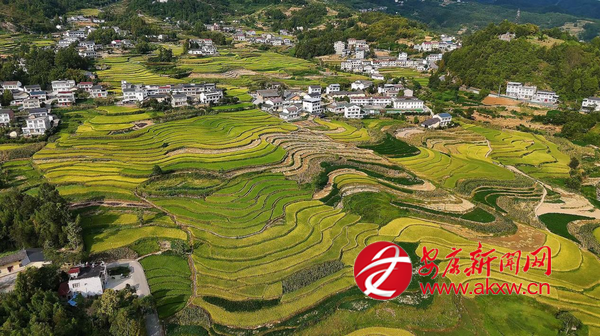 ��������ӭ����