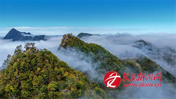 ��������ȫʤկ