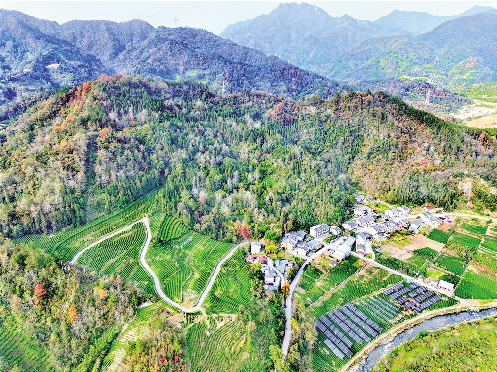 ƽ���ع�����԰