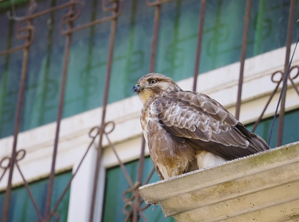 ᰸��ؾ���ͷ��¼�\������