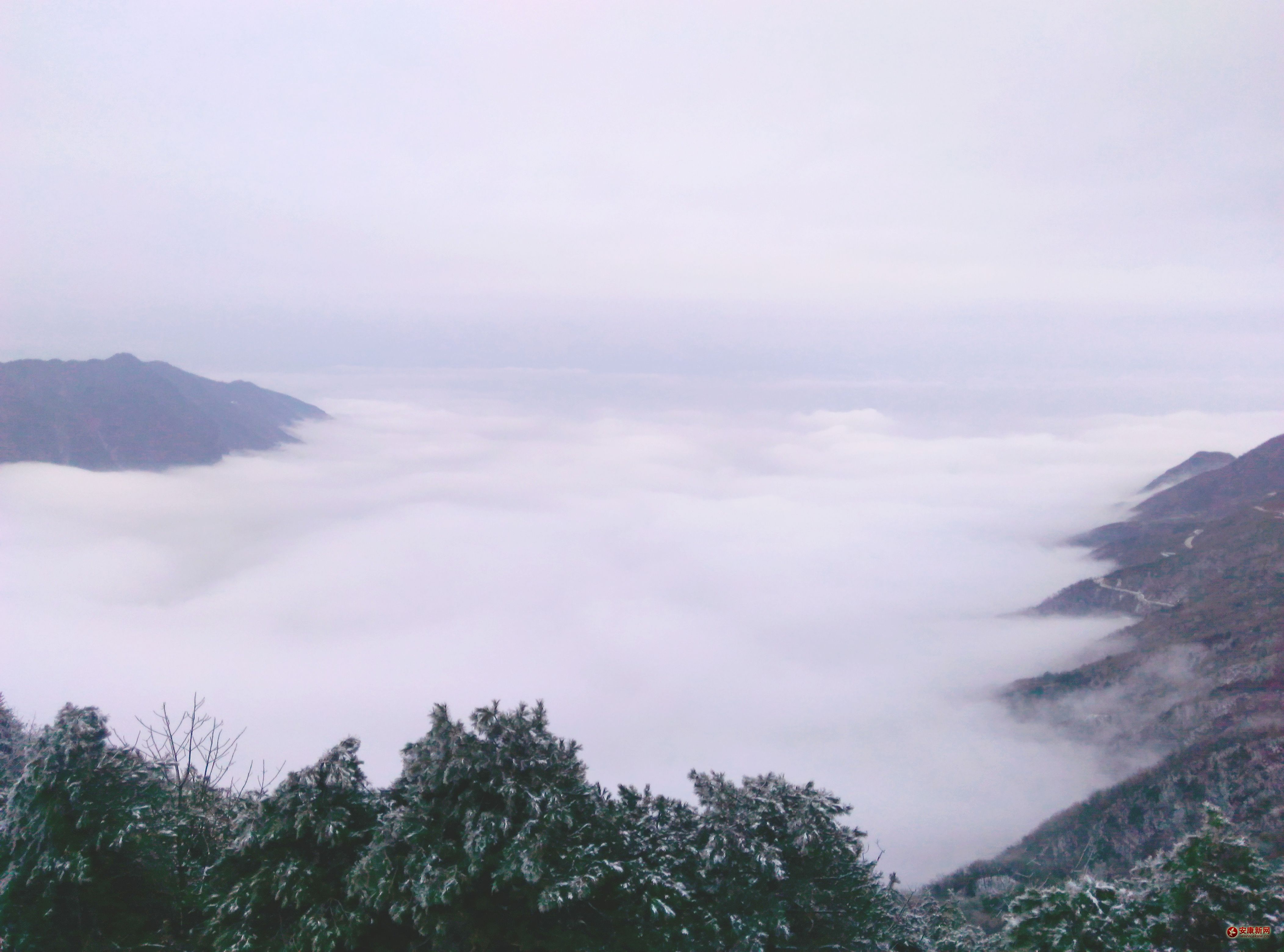 �����ƺ�