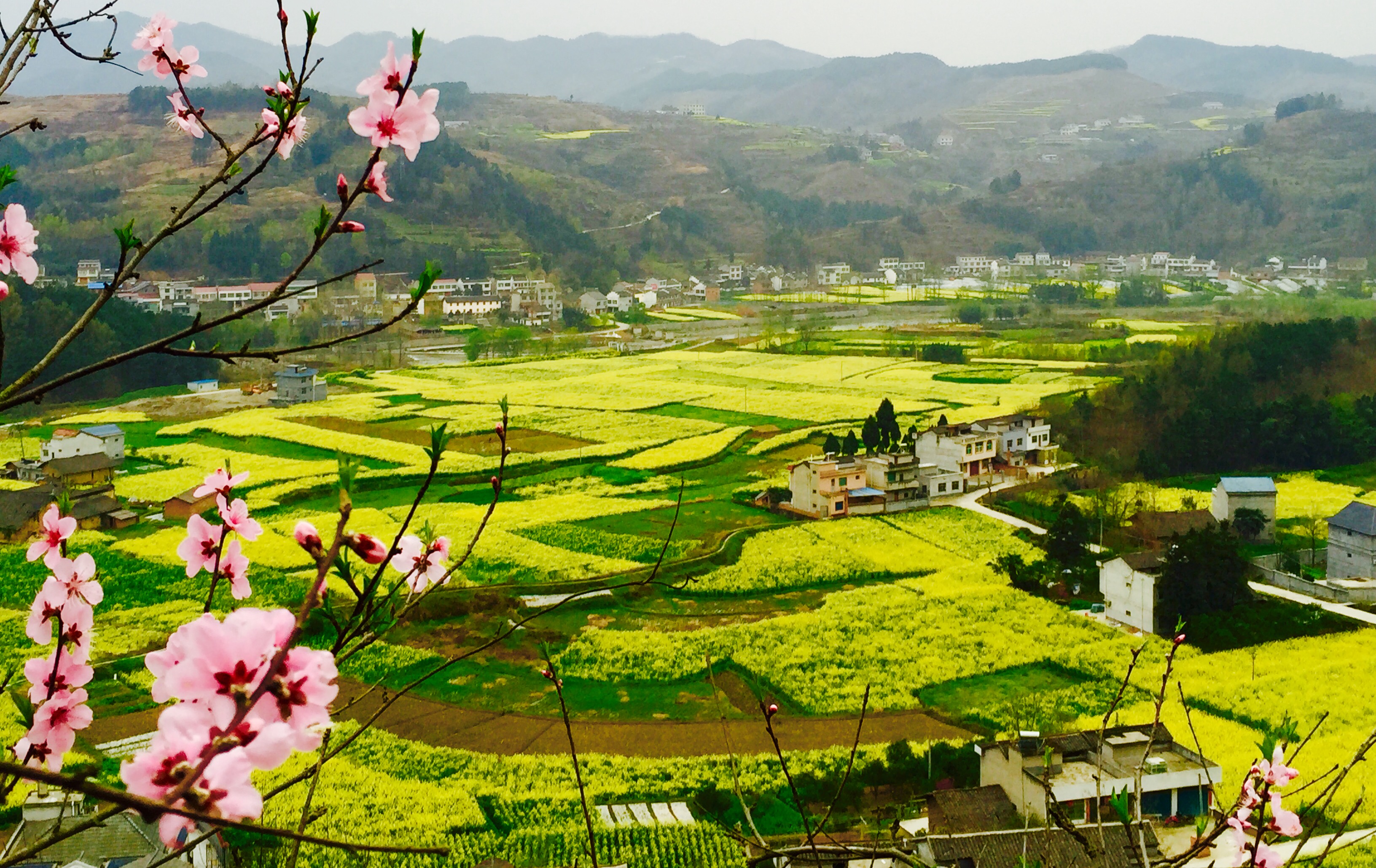 �ߣ��������������