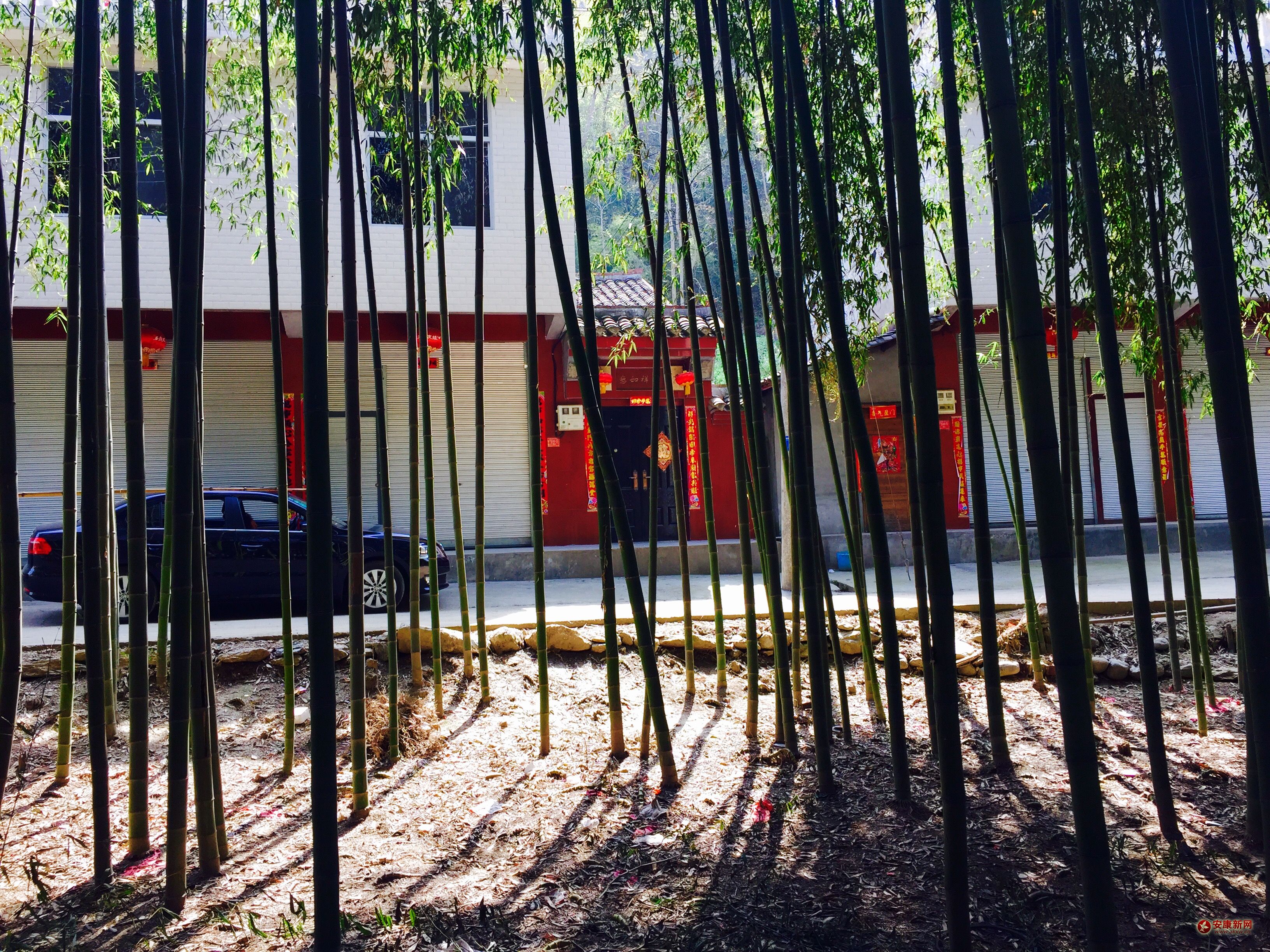 ������԰