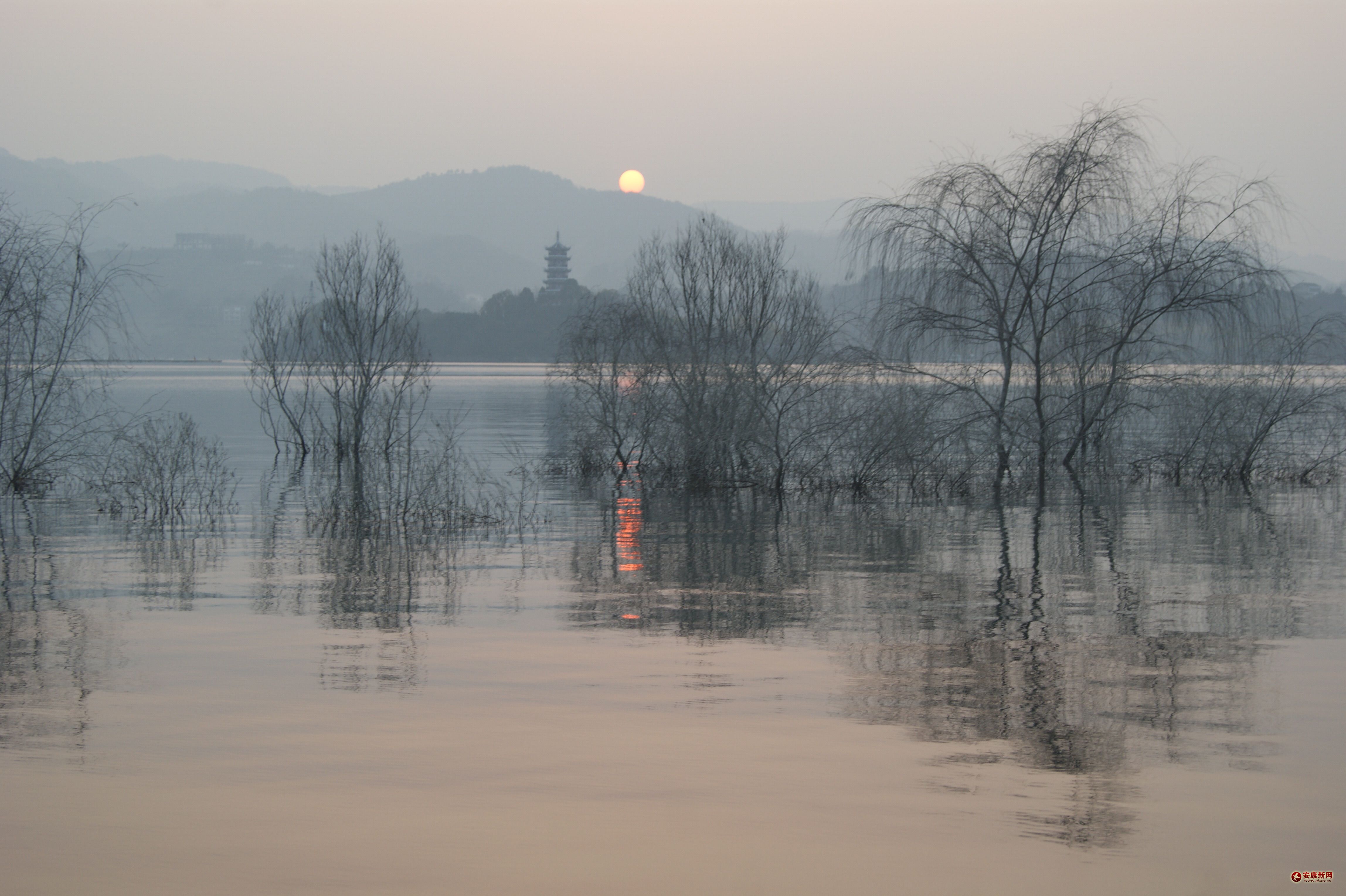 �̲�������孺�