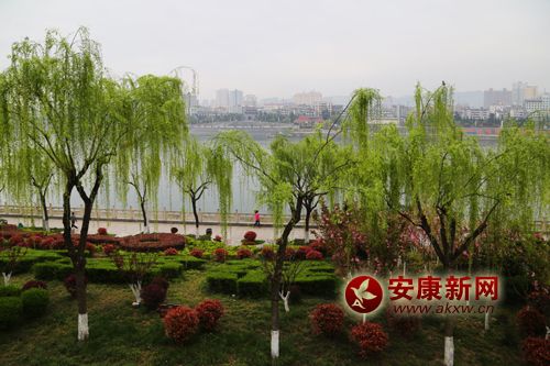 �������̽��ϰ�