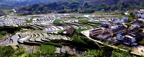 ��԰������