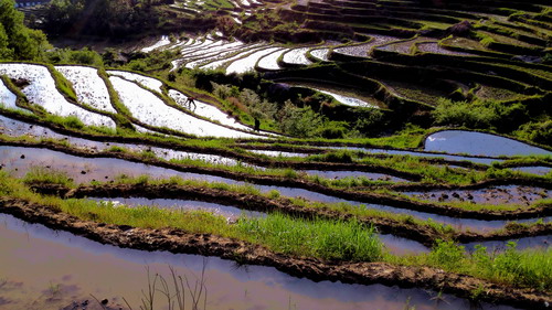 ��������ʱ