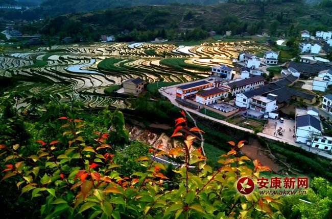 ��԰����