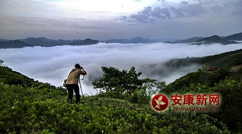 �����߶���