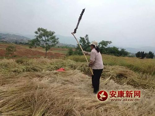 �Ͷ�����