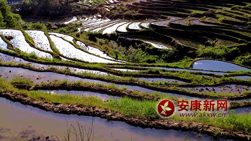 ��������ʱ