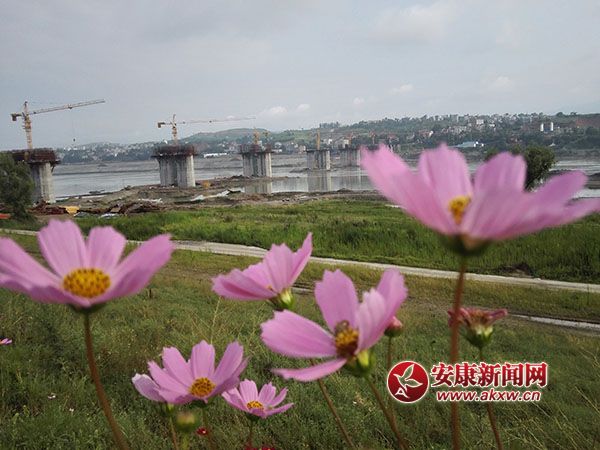 ��̬����