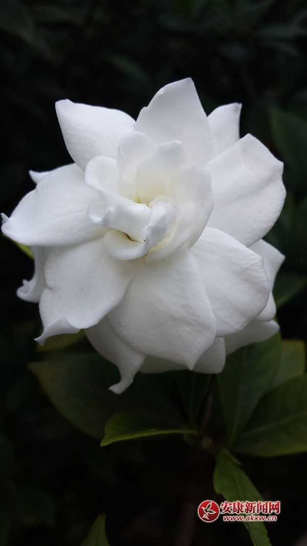 ���ӻ���