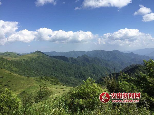 ƽ��������ݵ�