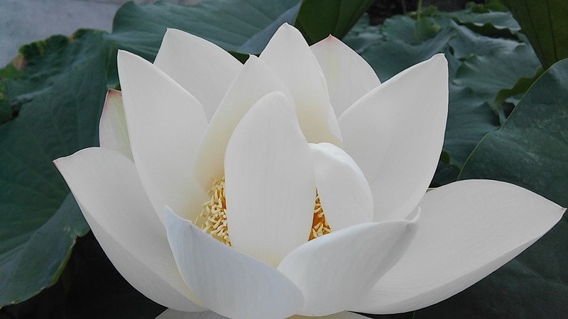 �貨���ӡ���᰸޺ɻ�