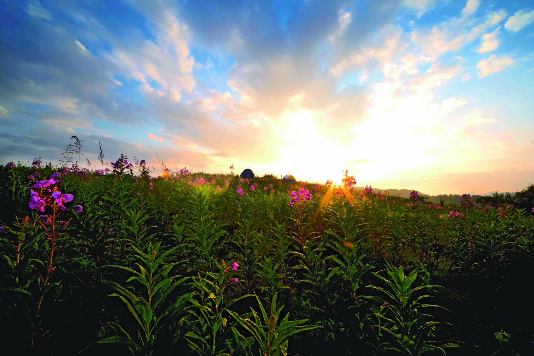 ������Ȼ