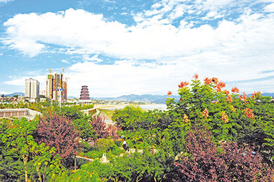 ��Ⱦ����