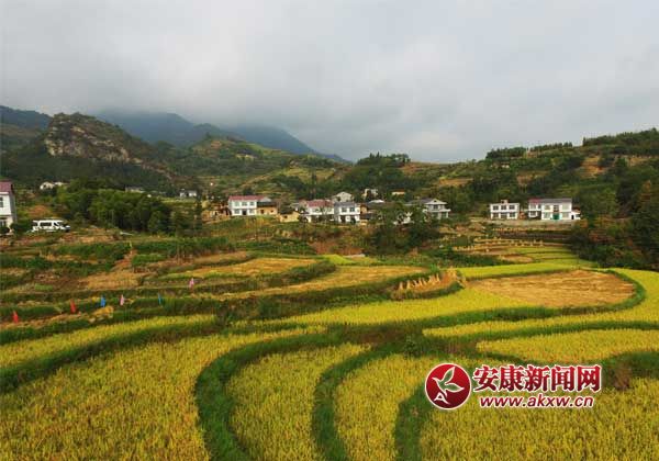 ��������֮--�������з��ߵ��㼾������