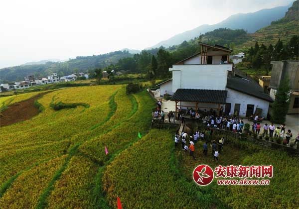 ��������֮--�������з��ߵ��㼾��һ��