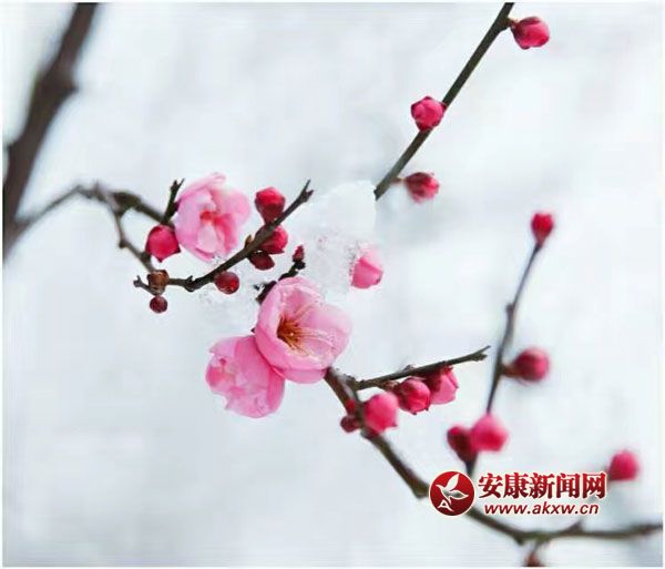 �ݳ�ݺ�������죬˭��һ�������룿