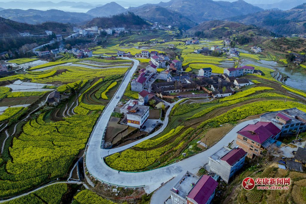 �����ߴ�ɫ����Ӱ��Ƥ��ά���绰���飺13325355508������������ʡ��������������߹���� - ����.JPG