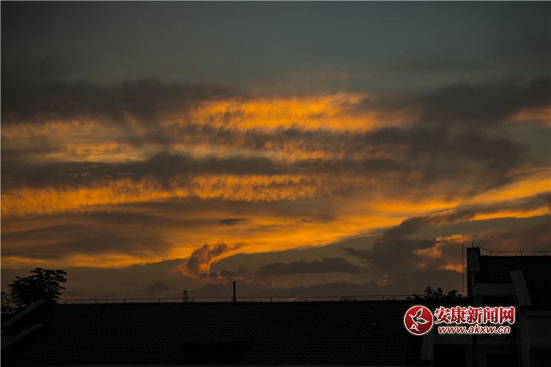 ����Ȼ�Ļ���3 �̿���.jpg