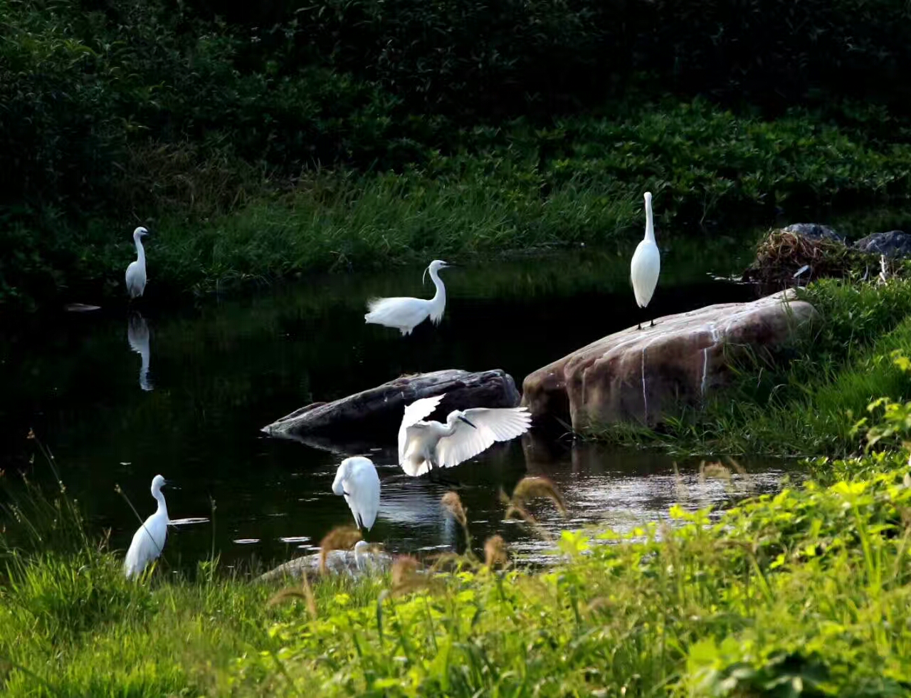 ��ɽ��ˮ�÷��