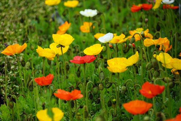 �����������⡰�֡�